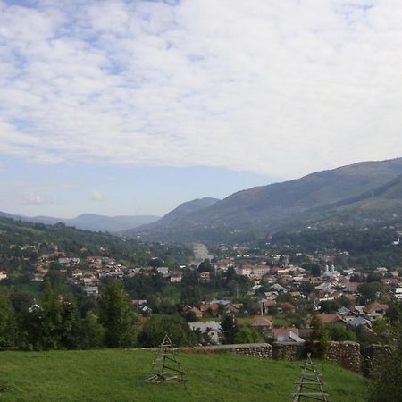 Pensiunea Valea Negrasului Trăisteni Extérieur photo