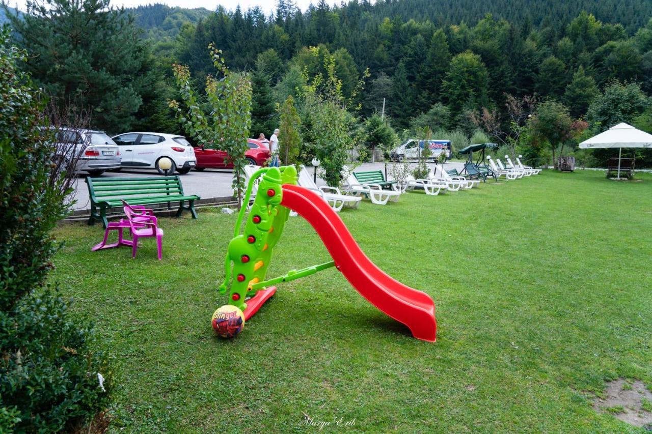 Pensiunea Valea Negrasului Trăisteni Extérieur photo