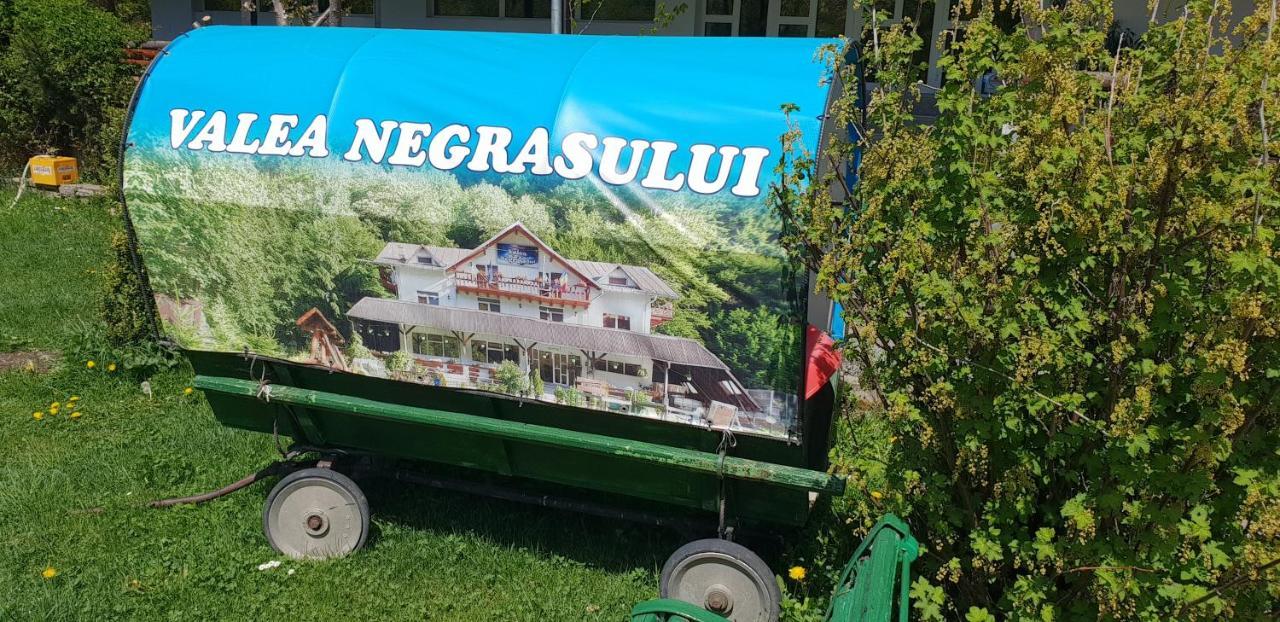 Pensiunea Valea Negrasului Trăisteni Extérieur photo