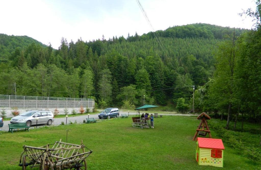 Pensiunea Valea Negrasului Trăisteni Extérieur photo