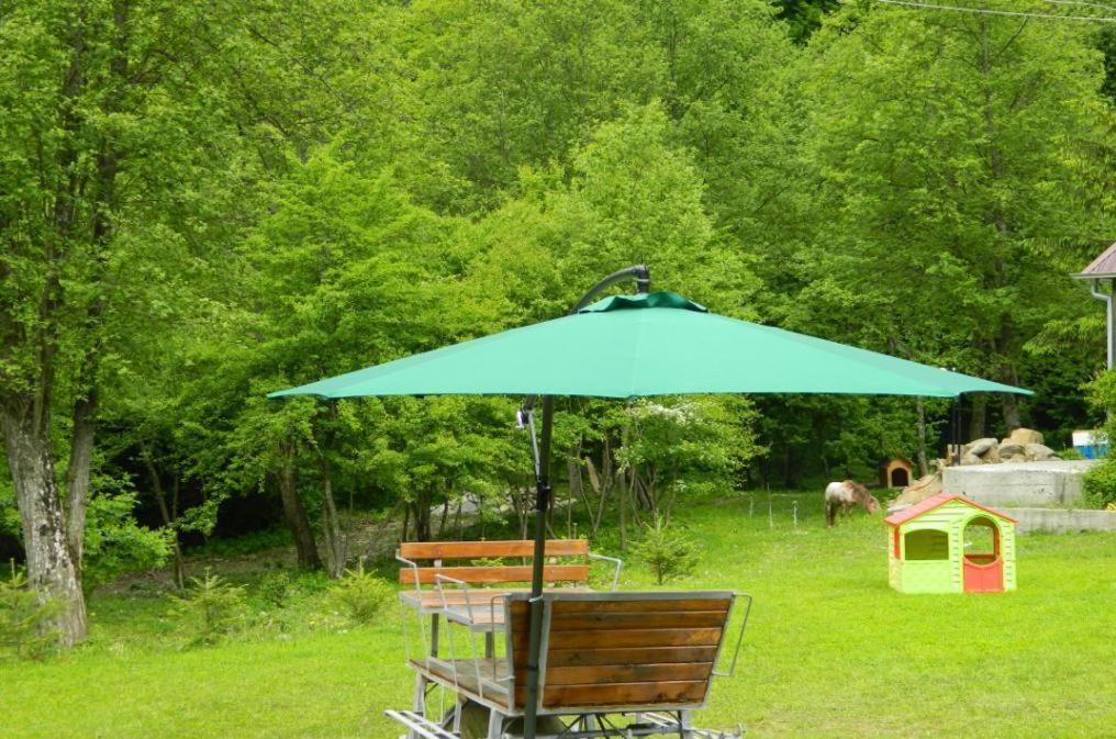 Pensiunea Valea Negrasului Trăisteni Extérieur photo