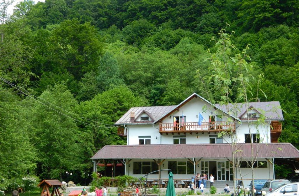 Pensiunea Valea Negrasului Trăisteni Extérieur photo