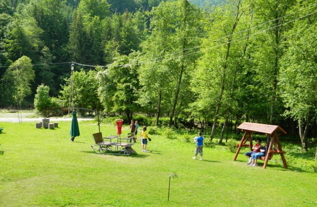 Pensiunea Valea Negrasului Trăisteni Extérieur photo